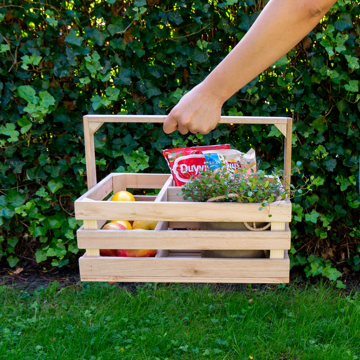 Solid Wood Storage Box with Handle and 3 Compartments